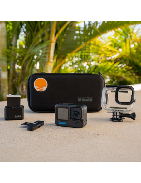 GoPro Attache Ventouse avec QR - Accessoires de caméras sportives